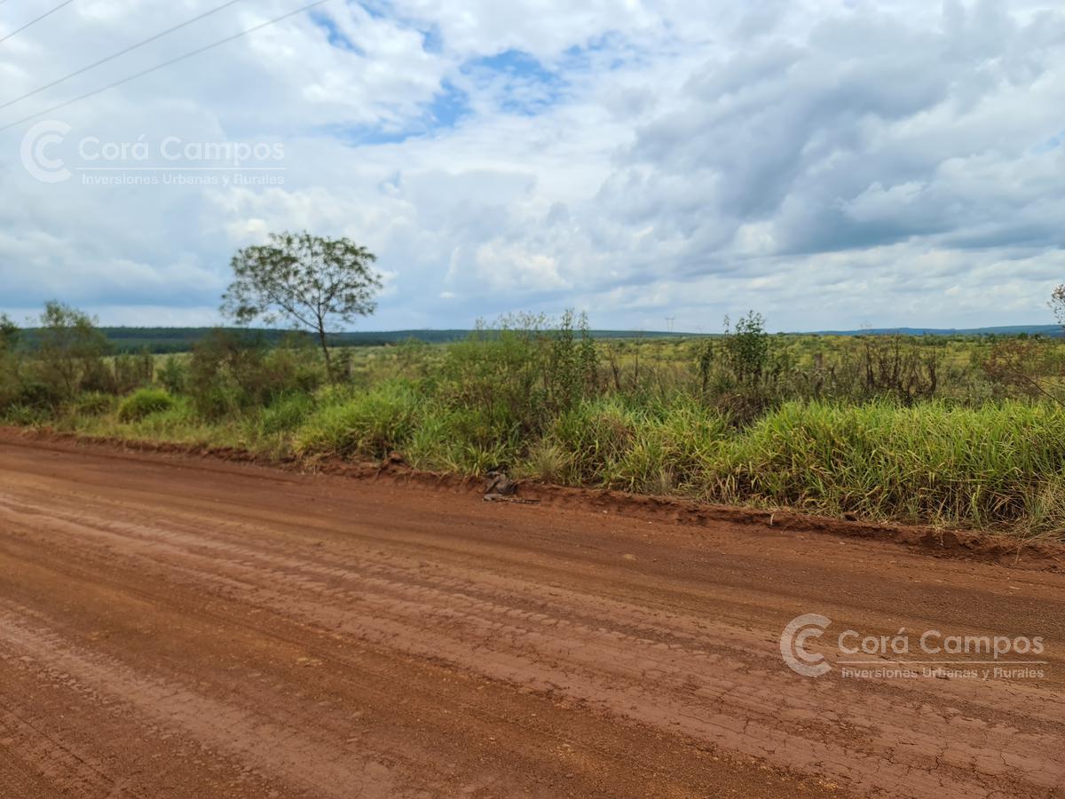 Se vende Campo Ganadero y Forestal a minutos de Virasoro Corrientes.  Ruta 68