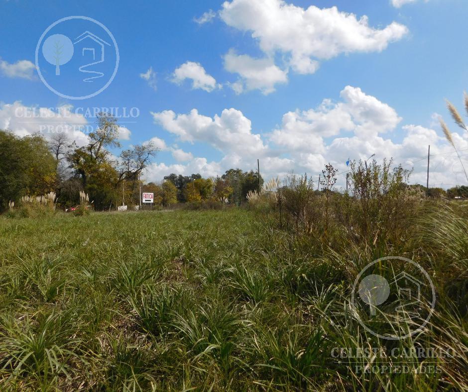 Venta - Lote - Terreno en Remanso - Exaltacion de la cruz