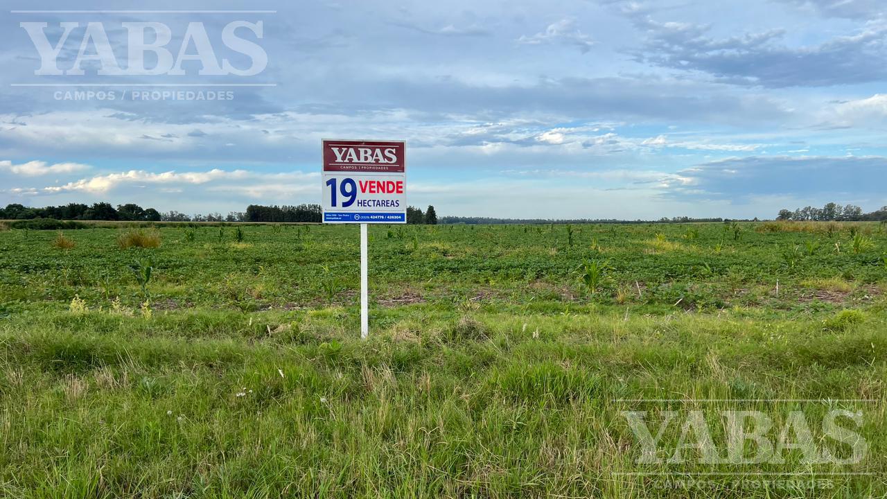 VENTA - CAMPO - 19 HAS -  SOBRE RUTA Nº191 - 100 AGRICOLAS -  SAN PEDRO