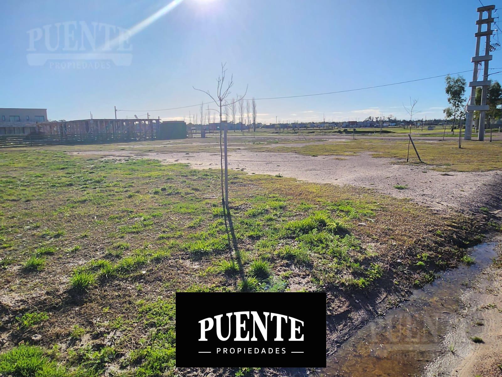 Terreno en Barrio Fincas de San Vicente Laguna