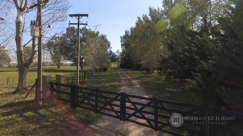 Venta de 22 hectáreas - San Antonio De Areco a 10km del pueblo y 100km de CABA