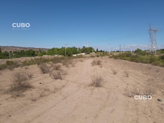 CUBO VENDE OPORTUNIDAD Campo 3 Hectáreas en Cruz de Piedra Maipú Mendoza