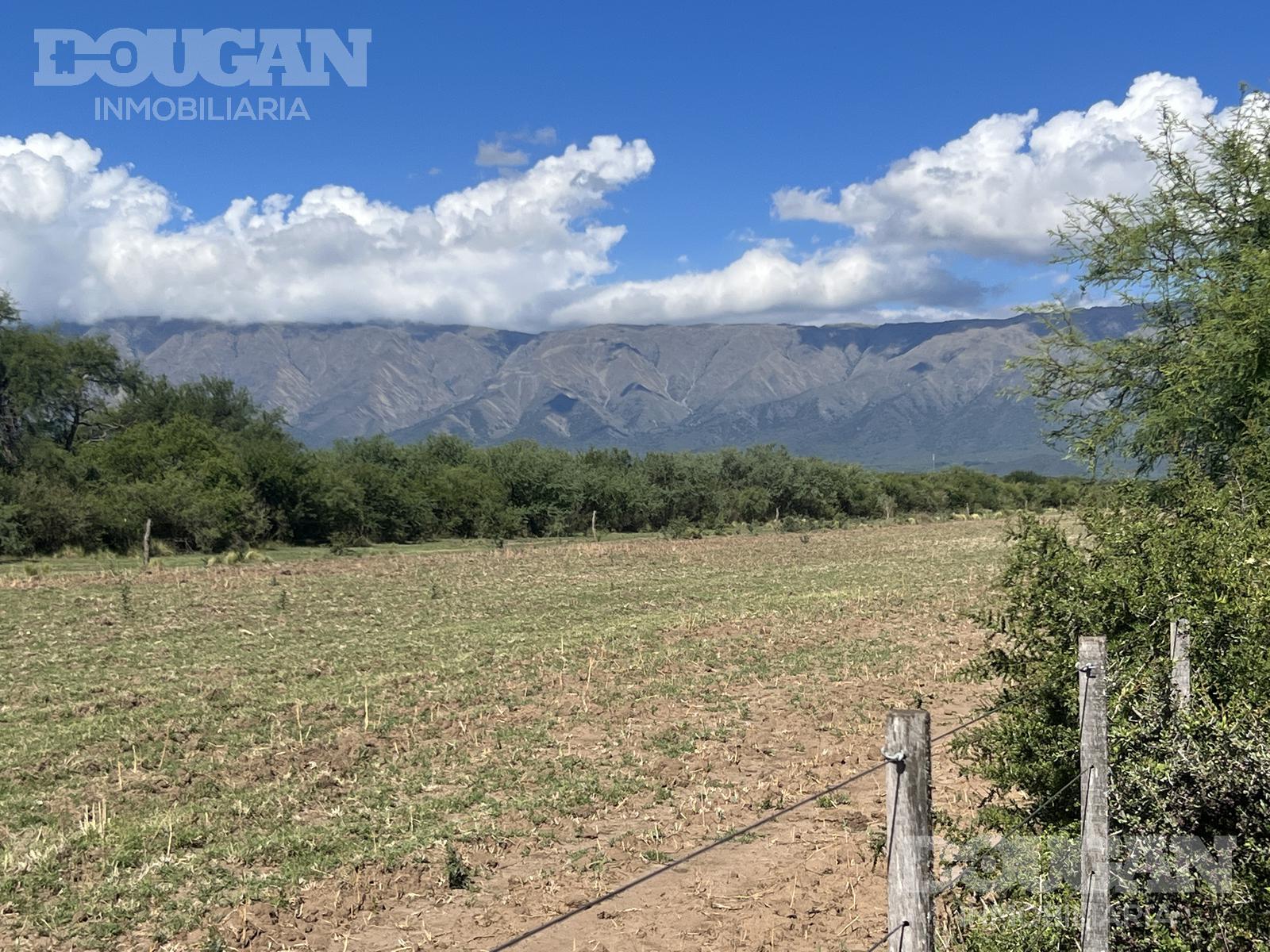 Terreno en venta en La Serena Carpinteria