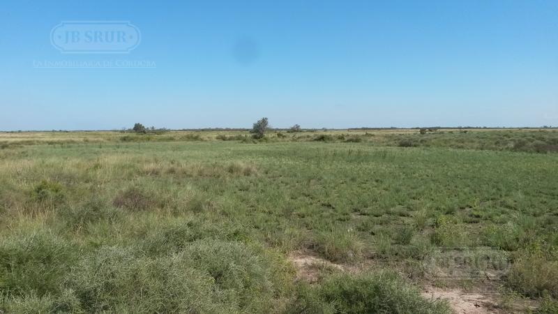 Campo en El Coro