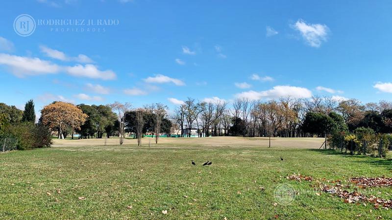 EL MEJOR LOTE DE HARAS SANTA MARIA - Haras Santa Maria - AL GOLF EN LAS LOMAS