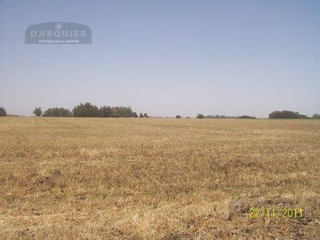 Campo en Punta Indio