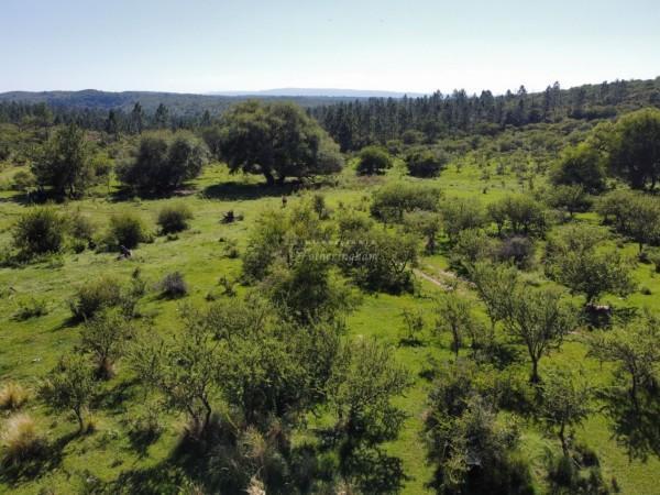 REAL OPORTUNIDAD  CAMPO DE 125 HAS EN CERRO PELADO  VISTA AL LAGO  VALLE DE CALAMUCHITA