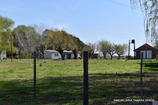 9 HECTAREAS CON FRENTE A RUTA 11